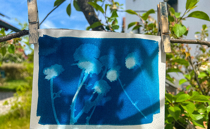 Nostalgischer Blaudruck: den Sommer festhalten mit Sonnenlicht